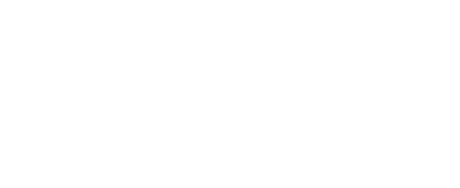 logo_branca_diniz